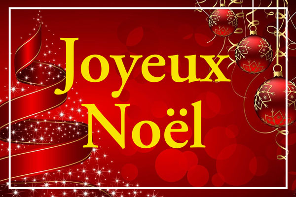 Bonnes Fetes! Merry Christmas!